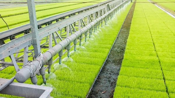 Water Endowments